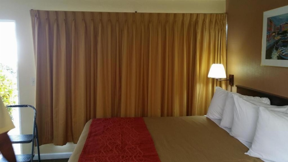 The Palms On Ocean Main image